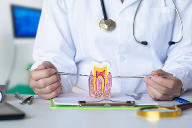 Best Pediatric Emergency Dentist in Charter Oak, CA